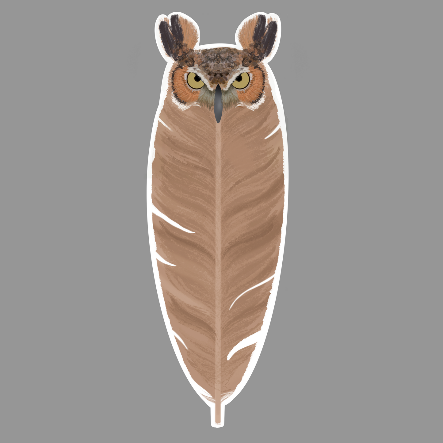 Great Horned Owl Feather