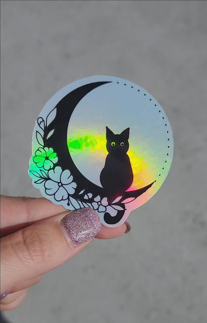 Holographic Black Cat in Moon