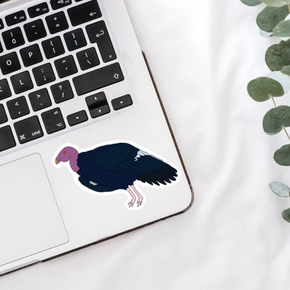 California Condor
