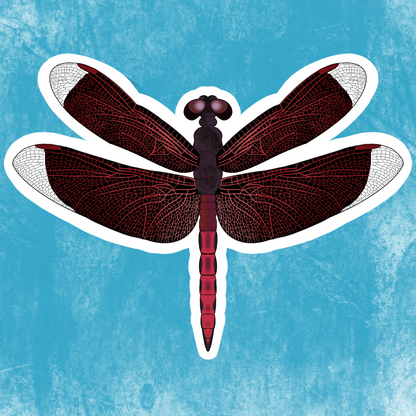 Dragonfly