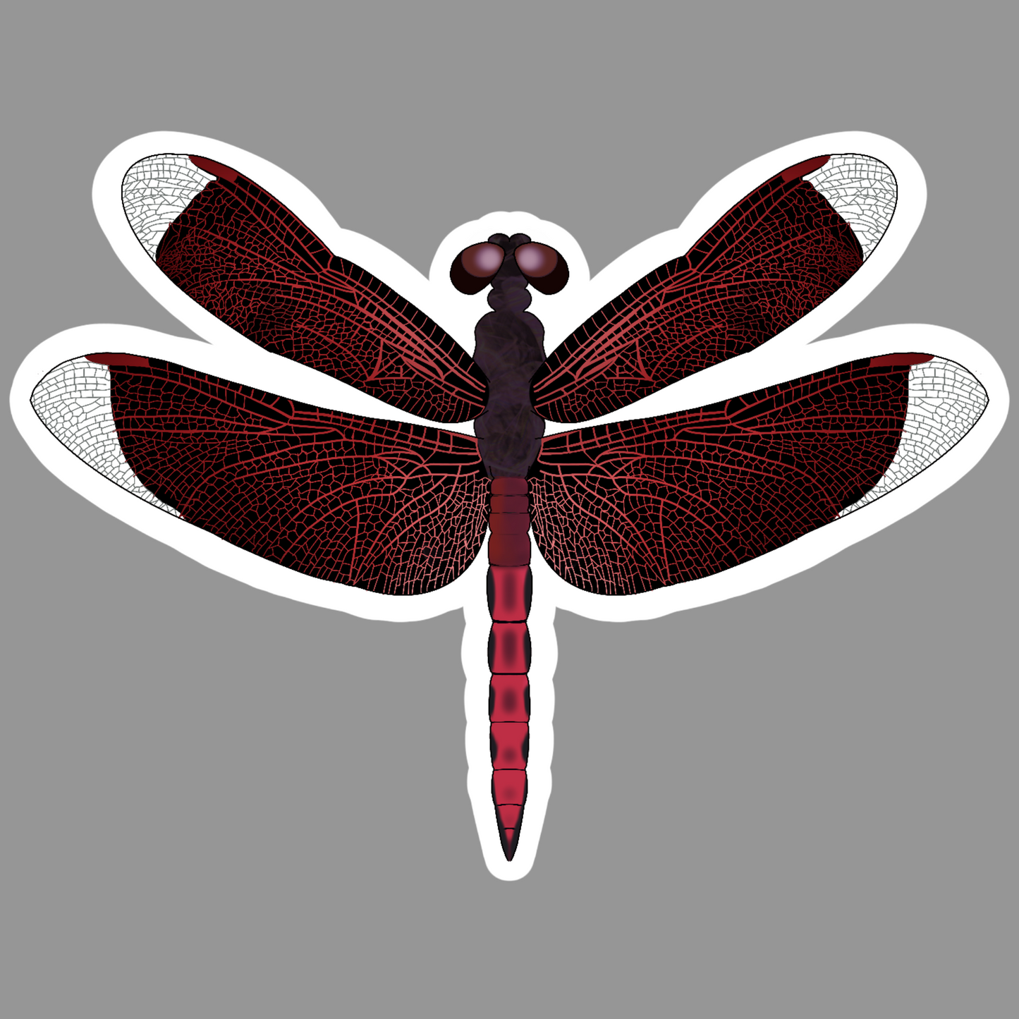 Dragonfly