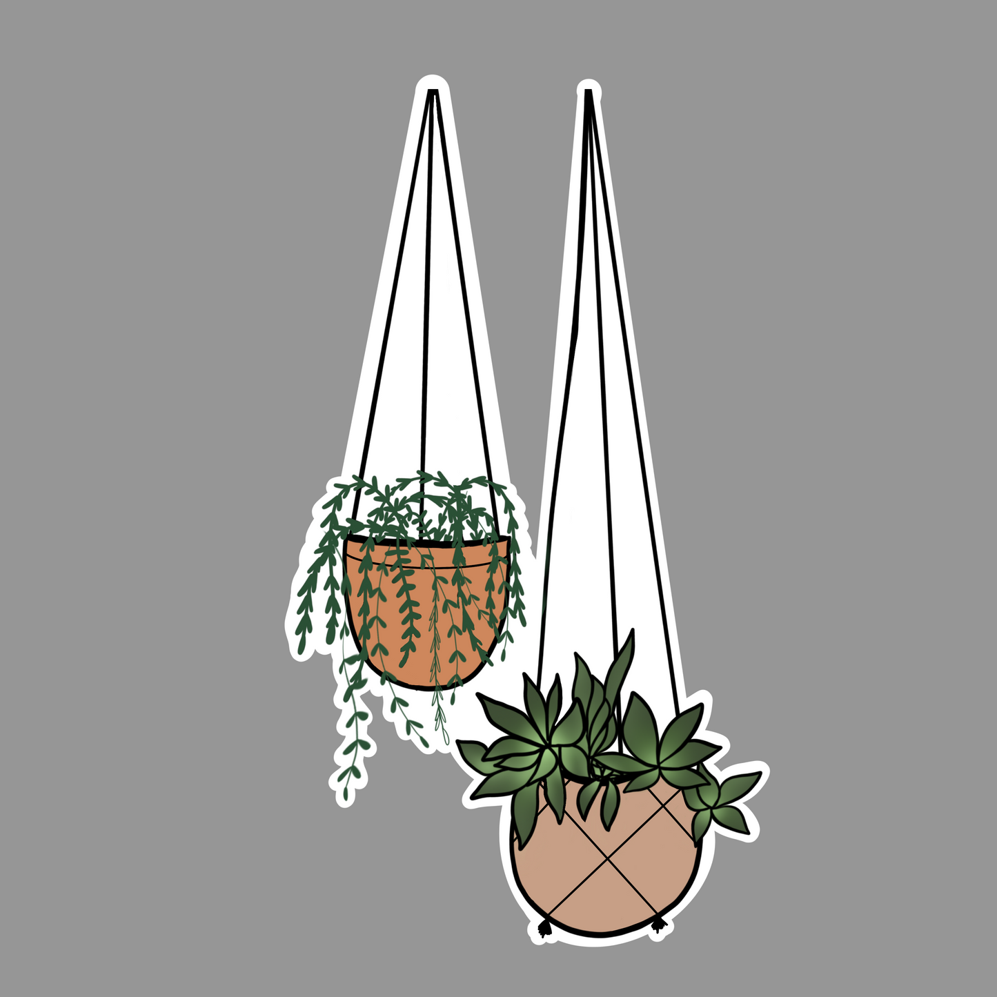 Hanging Plants