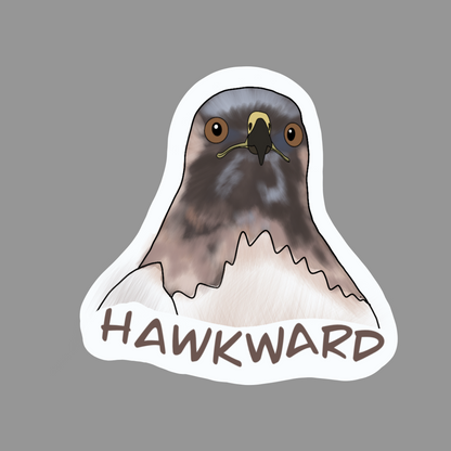 Hawkward