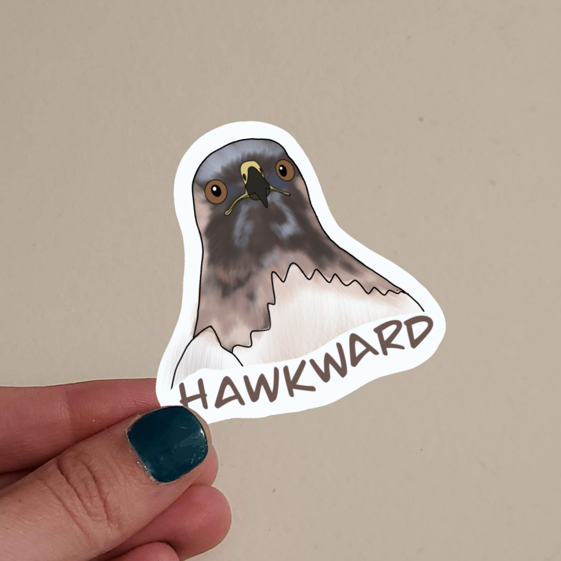hawkward hawk
