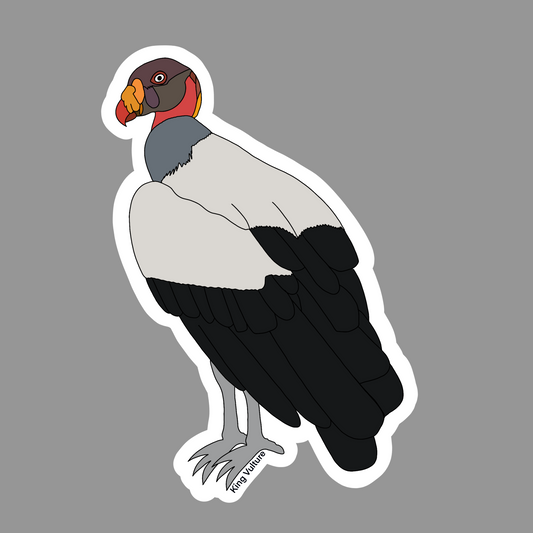 King Vulture