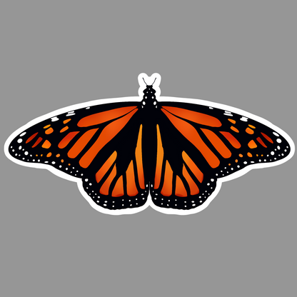 Monarch Butterfly