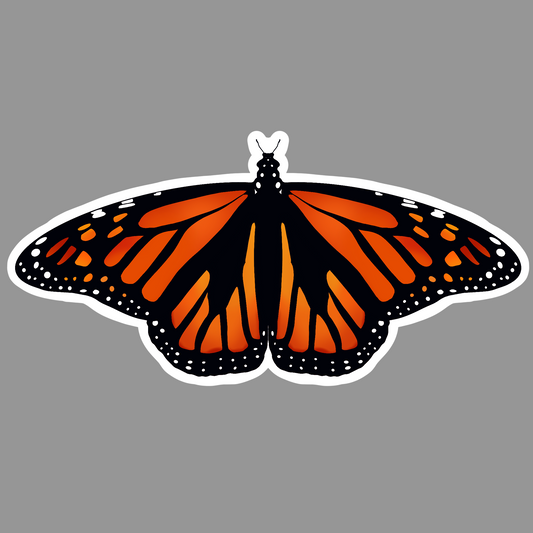 Monarch Butterfly