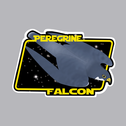 Peregrine Falcon