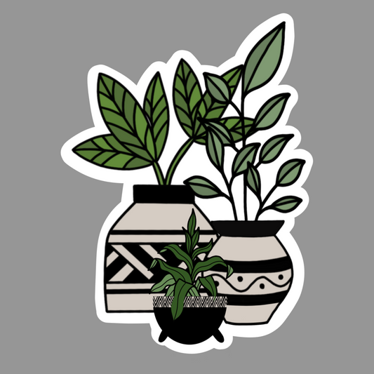 Plants