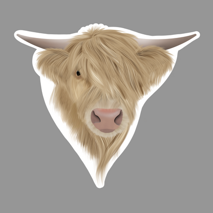 Highland Cow