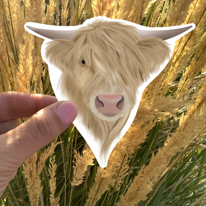Highland Cow