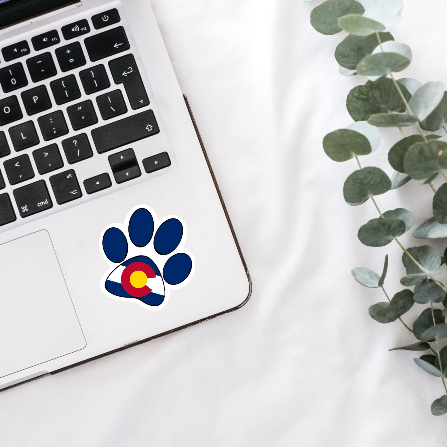 Colorado Dog Paw