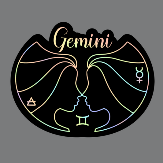 Holographic Gemini