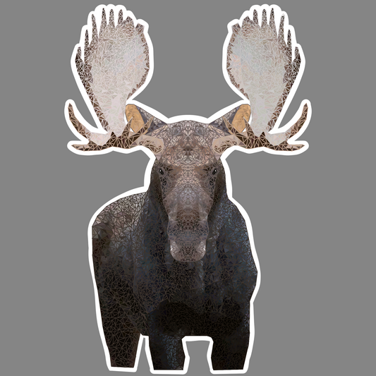 Moose