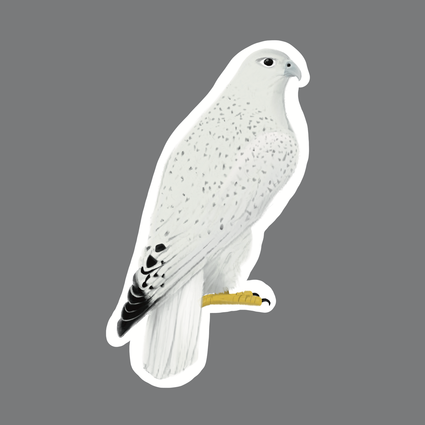 White Gryfalcon