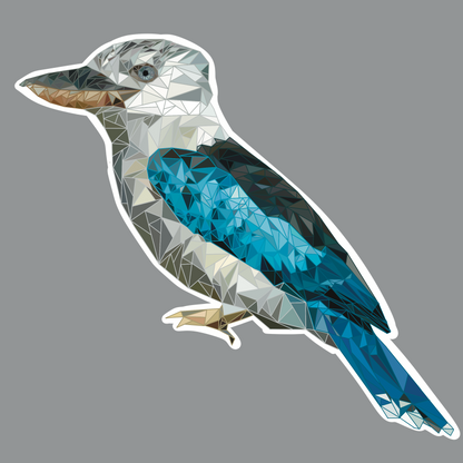 Kookaburra