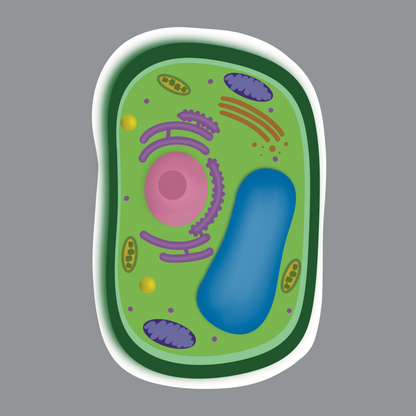 Plant Cell