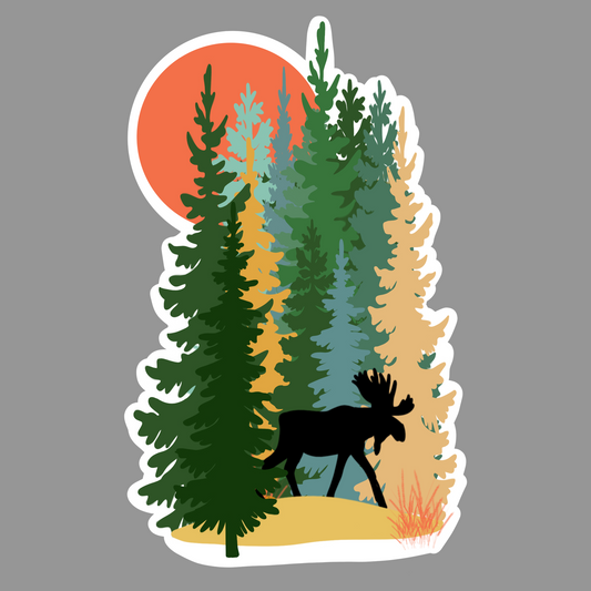 Moose In Forest