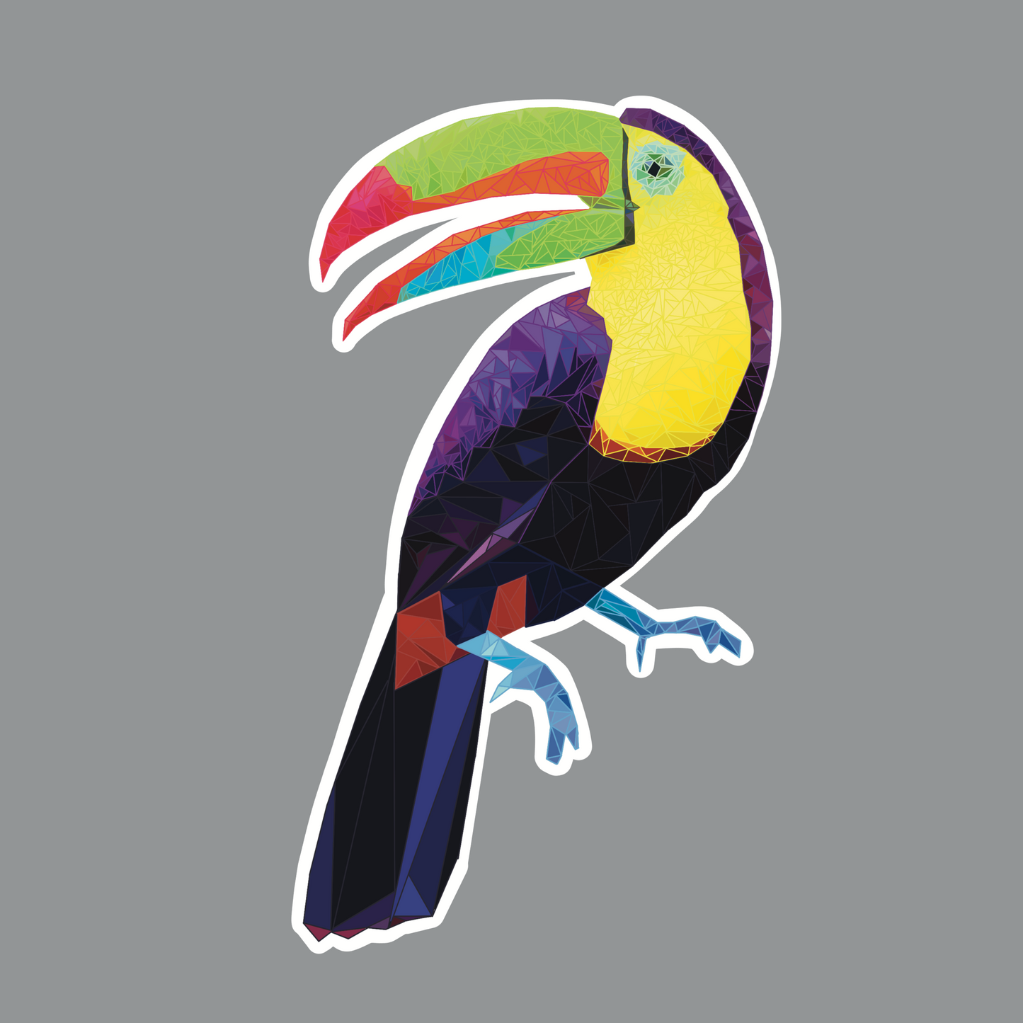 Toucan