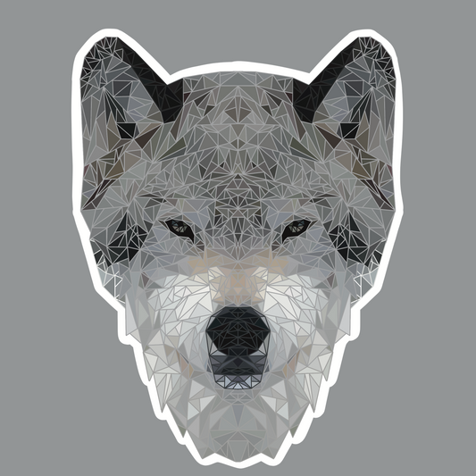 Gray Wolf